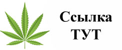 Купить наркотики в Прокопьевске